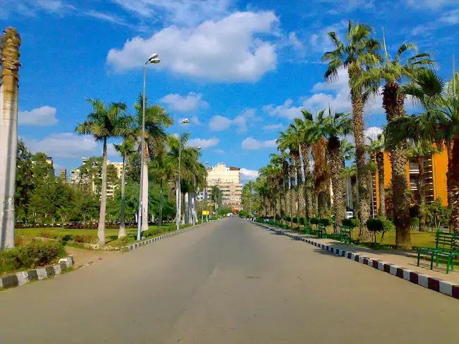 Mansoura University Egypt