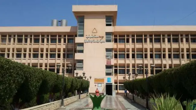 Menoufia University Egypt