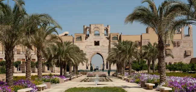 American University in Cairo (AUC)