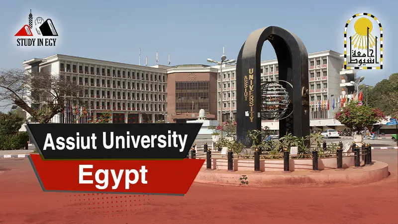 Assiut University Egypt