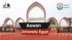 Aswan University Egypt 