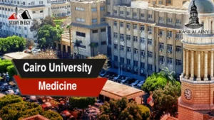 Cairo University Medicine