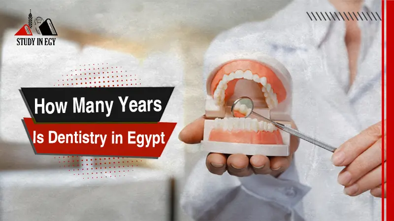 How Many Years Is Dentistry in Egypt?