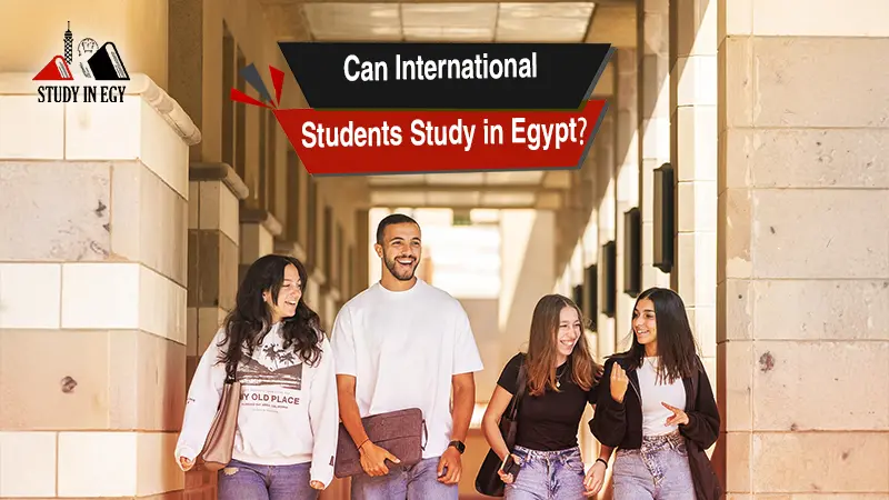 Can International Students Study in Egypt?