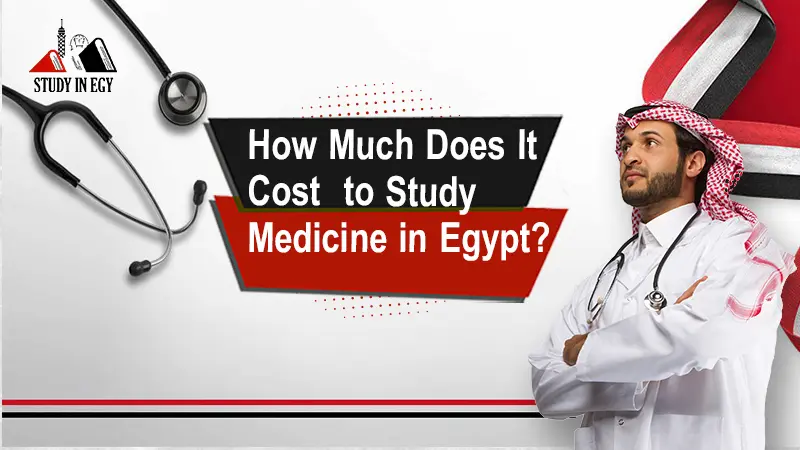 How Much Does It Cost to Study Medicine in Egypt? 