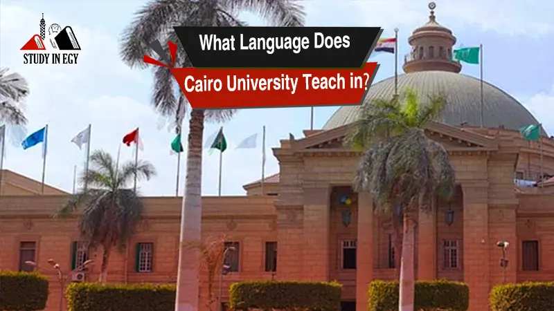 What Language Does Cairo University Teach in?