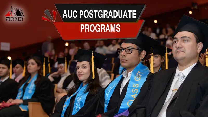 AUC Postgraduate Programs