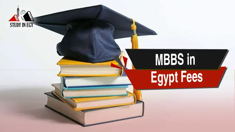 MBBS in Egypt Fees