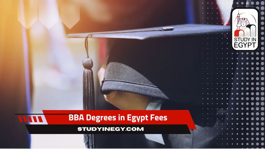 Bachelors of Business Administration BBA Degrees in Egypt Fees