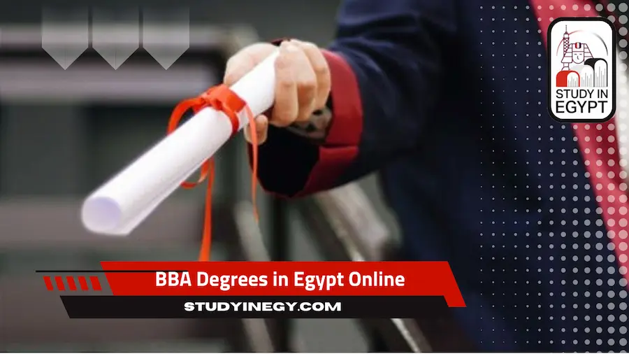 Bachelors of Business Administration BBA Degrees in Egypt Online