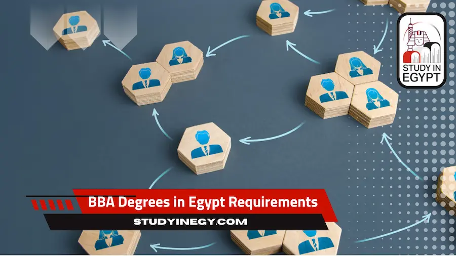 Bachelors of Business Administration BBA Degrees in Egypt Requirements