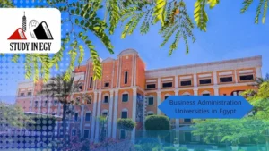 Business Administration Universities in Egypt