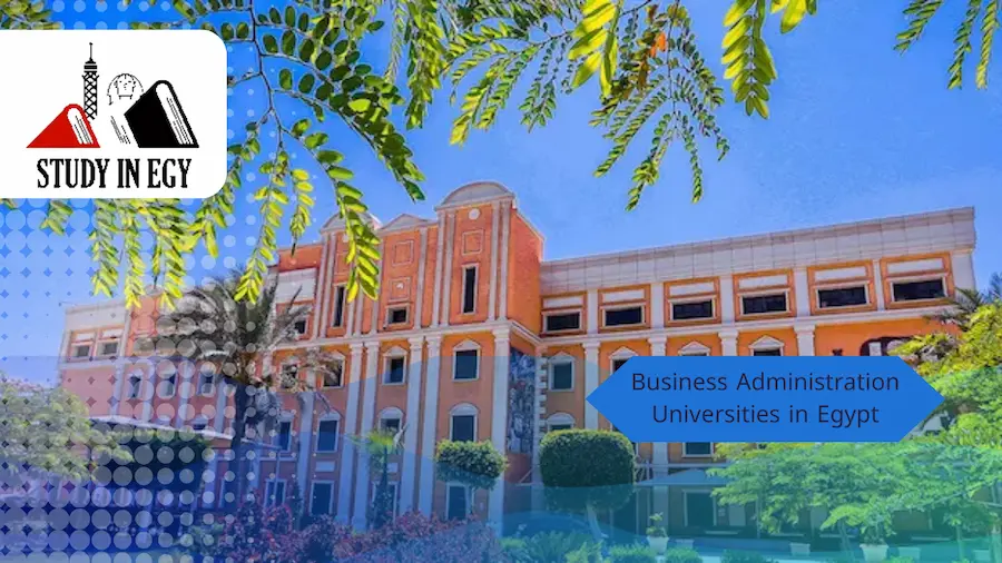 Business Administration Universities in Egypt