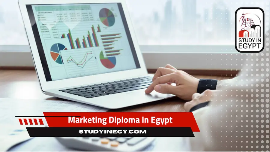 Marketing Diploma in Egypt