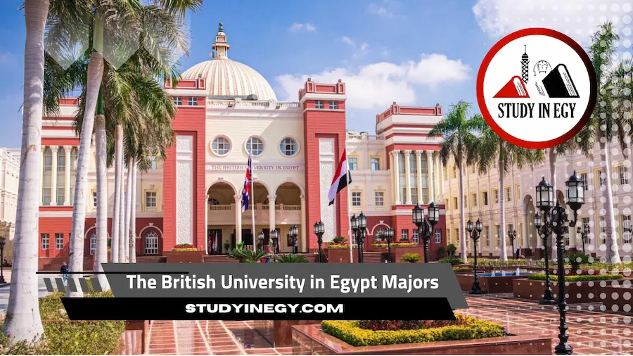 The British University in Egypt Majors