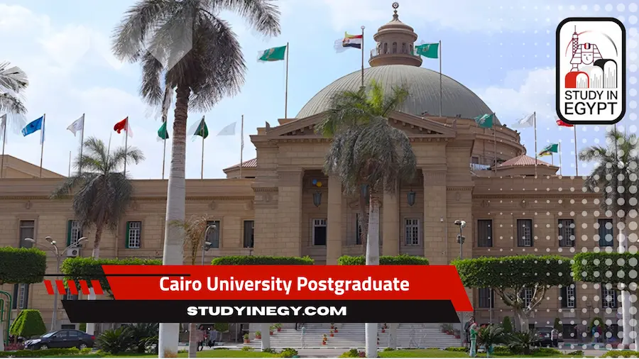 Cairo University Postgraduate