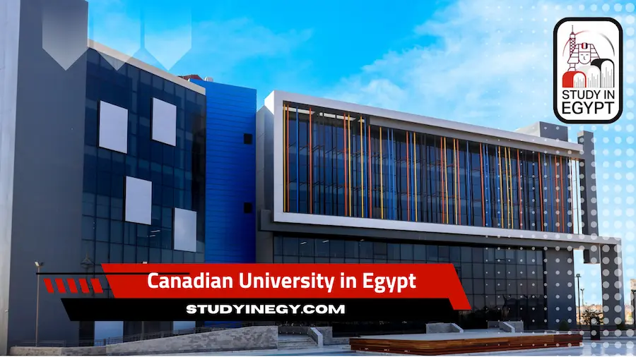 Canadian University in Egypt Requirements