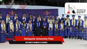 Heliopolis University Fees