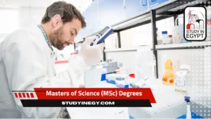 Masters of Science (MSc) Degrees in Egypt