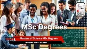 Masters of Science MSc Degrees in Egypt Online