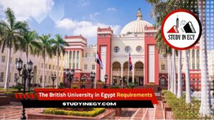 The British University in Egypt Requirements