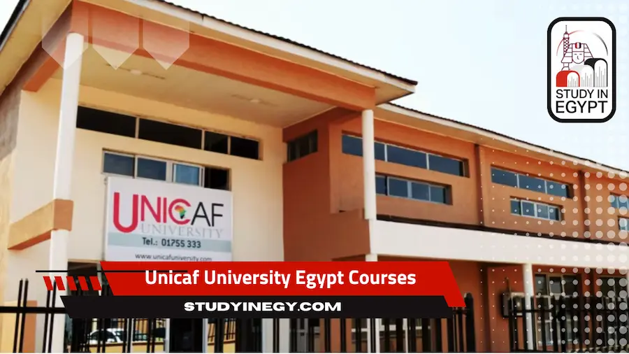 Unicaf University Egypt Courses