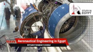 Aeronautical Engineering in Egypt