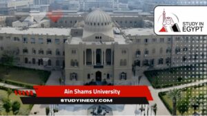 Ain Shams University