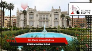 Ain Shams University Fees
