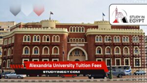 Alexandria University Tuition Fees