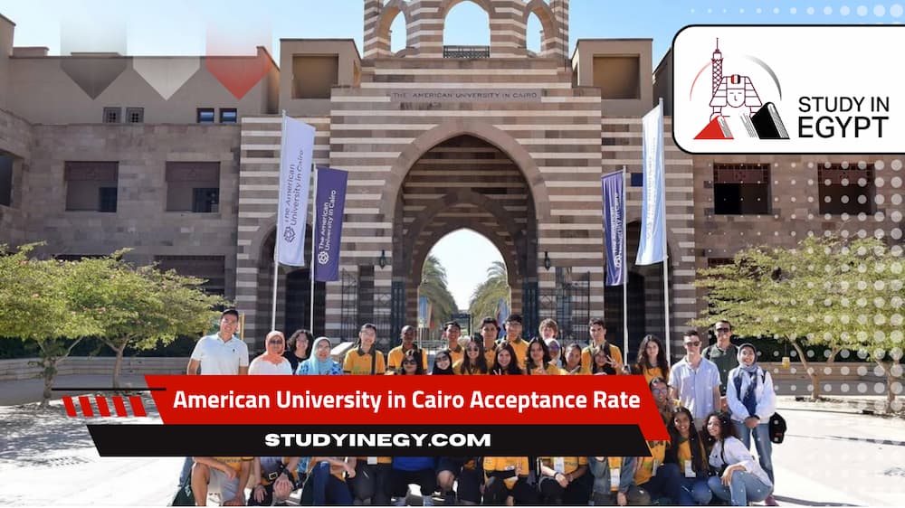 American University in Cairo Acceptance Rate