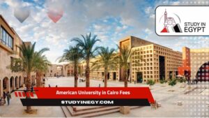 American University in Cairo Fees