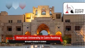 American University in Cairo Ranking