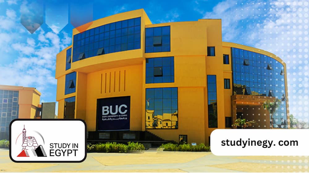 Badr University