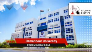 Damanhour University