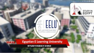Egyptian E Learning University