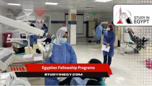 Egyptian Fellowship Programs