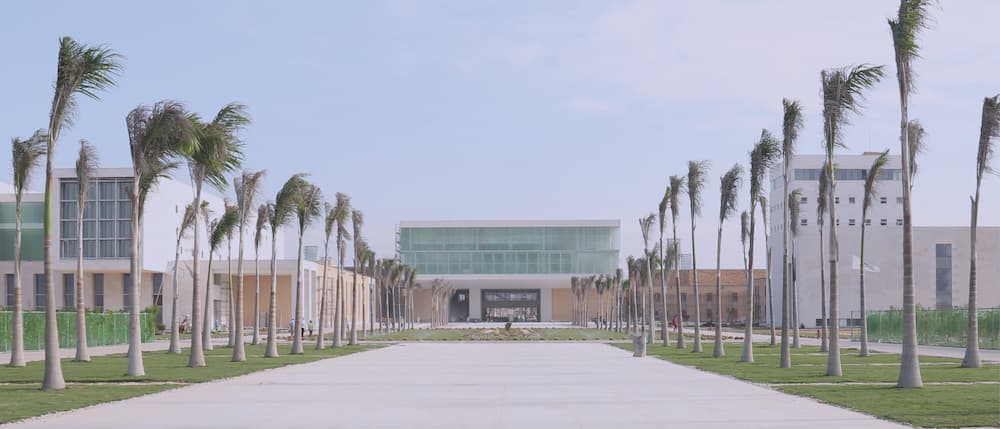 Japanese University in Egypt 