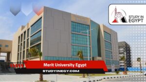 Merit University