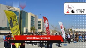 Merit University fees