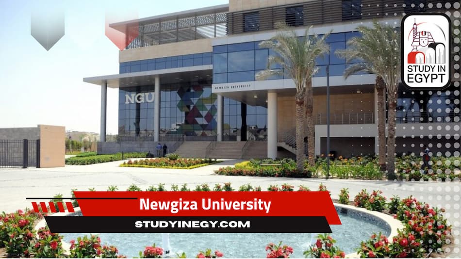 Newgiza University