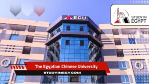 The Egyptian Chinese University