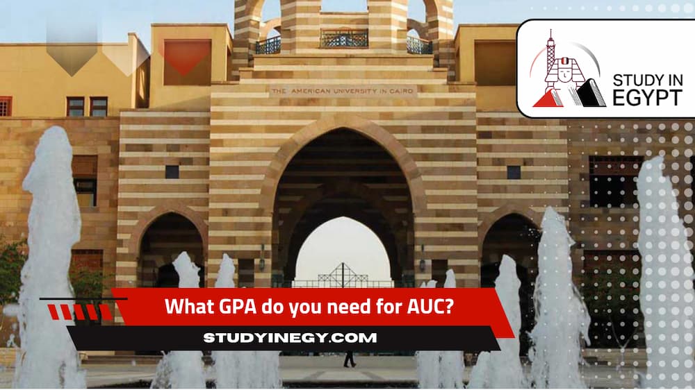 What GPA do you need for AUC?