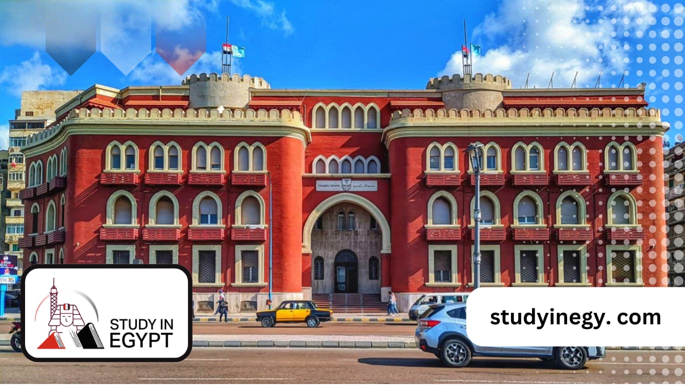 Alexandria University International Students