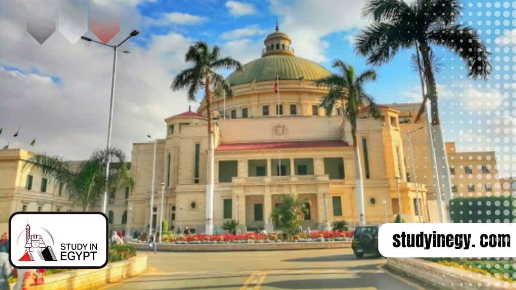 Best Universities in Egypt