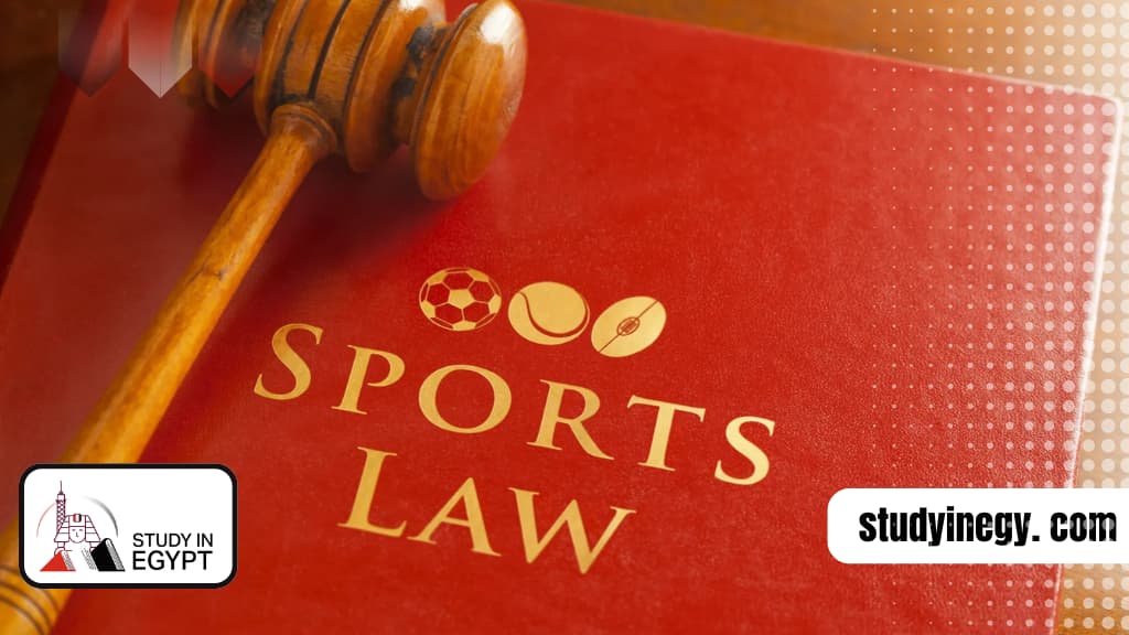 Studying Sports Law in Egypt