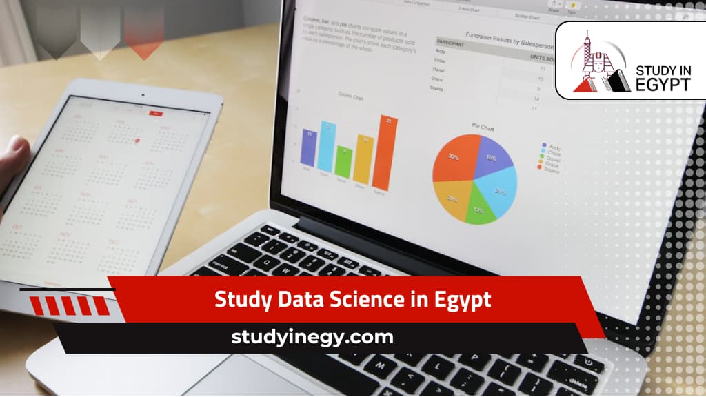 Study Data Science in Egypt
