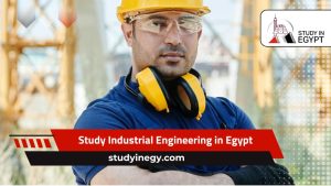 Study Industrial Engineering in Egypt
