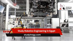 Study Robotics Engineering in Egypt