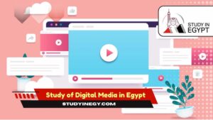 Study of Digital Media in Egypt
